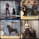 오공이 농장 이미지