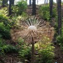 자연으로Ⅰ 이미지