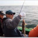 연안유선 이미지