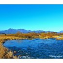 고달리다리 이미지