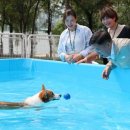 진흥동물병원 이미지