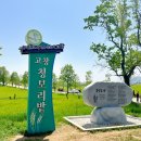 보리나라 학원농장 애견동반 고창청보리밭 축제 유채꽃 먹거리 후기정리