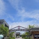 고석정 | 철원 고석정 유채꽃밭 솔직 후기 | 5월말쯤 더 예쁠 듯