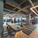 라이트 피트니스 이미지