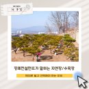 장례컨설턴트