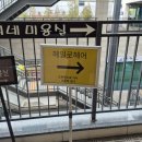 드라이세상(태평) | [성남] 기장 추가 없는 모란역 미용실 추천 '헤일로헤어' 뿌리염색