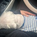 토닥토닥동물병원 이미지