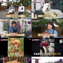 울림농장 bnt뉴스