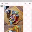 하단할머니 이미지