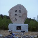 네덜란드꿩만두(새말점) | [후기] 목동-양평-횡성-평창-정선-백복령-동해시 나홀로 당일치기