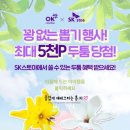 포포인트