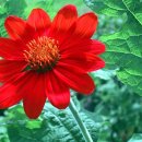 귀거래사 이미지