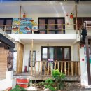 도그비앤비 이미지