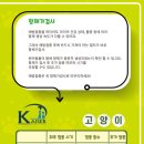 카이저 동물병원 이미지