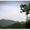 일락사