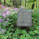 제2광장화장실 이미지