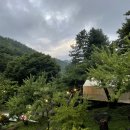 월드니스 이미지