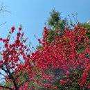 (주)마중 이미지