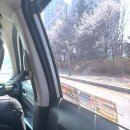 효사랑요양원 2호점 | [꿈꾸는붓]365 효마을 요양원 벽화 봉사 후기