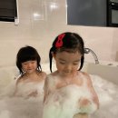 루루펜션 | 강릉 가성비 스파펜션 까르디에펜션 인원 추가금없는 4인가족 가성비 스파펜션