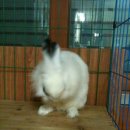 차오름동물병원 이미지