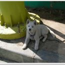 흥남주유소 이미지