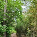 노일보건진료소 이미지