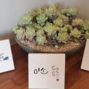 김밥예쁘게드세요 이미지