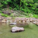 당동솔밭가든 이미지