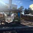 목포경찰서(27011) 이미지