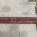 세븐일레븐 강릉포남스타점 | 다음주 이시간엔 직장인이 됩니다 ㅎㅠ;