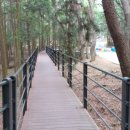 다솔사길 이미지