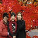 인천종합사회복지관 이미지