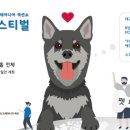 펫페스티벌 이미지