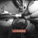 의정부 24시 IU 동물병원 이미지