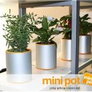 에카디자인 - 420 | 에카디자인