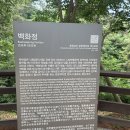 궁녀의 한 서린 낙화암 이미지