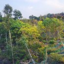 무성농장 이미지