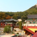석모도 자연휴양림 이미지