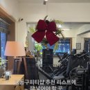 나우피티 스튜디오 이미지