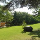 설하관광농원 이미지