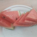 백산청과