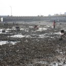 복산리 달천 이미지