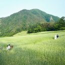 가마랑민박 이미지