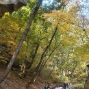 보배유치원 이미지