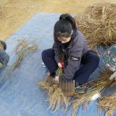 주영농장(4) 이미지