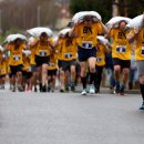 월드태양광 이미지