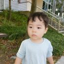 풍호체육공원 이미지