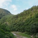 덕산1교 위(덕우리) | 정선 계곡 덕산기 계곡 출입금지 구간 많은 오지 계곡