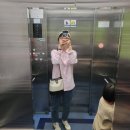 별일없는 하루하루(꽃피는 화덕피자, 초등학교 도서관 보람교사, 카페 기로띠)